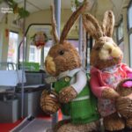 STB Tramvaiul Iepurașului