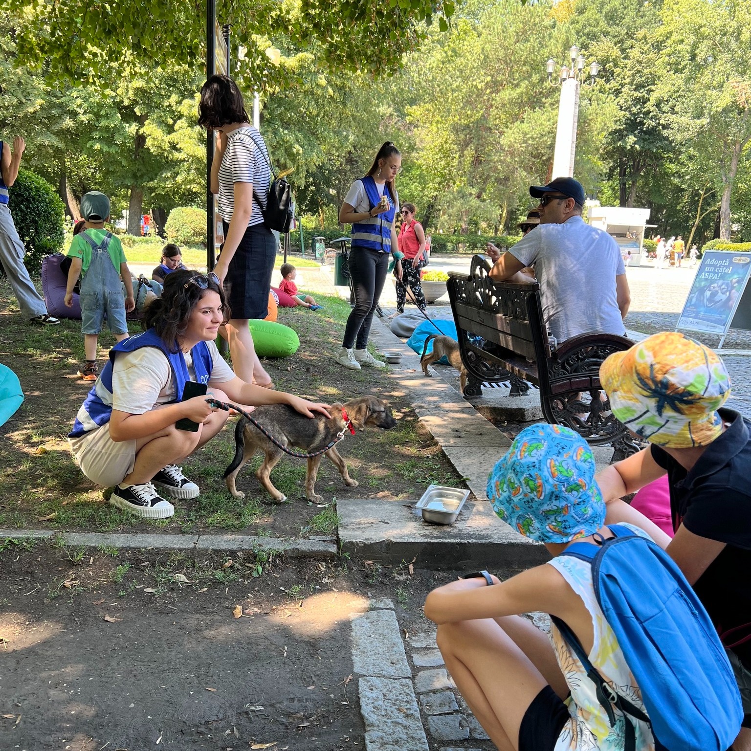 ASPA organizează un nou trag de adopții în Parcul Carol, în primele zile ale lunii mai. FOTO: ASPA