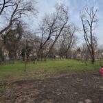 Blocaj Baza Sportivă Cireșarii