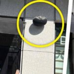 Boxele din centrul Bucureștiului