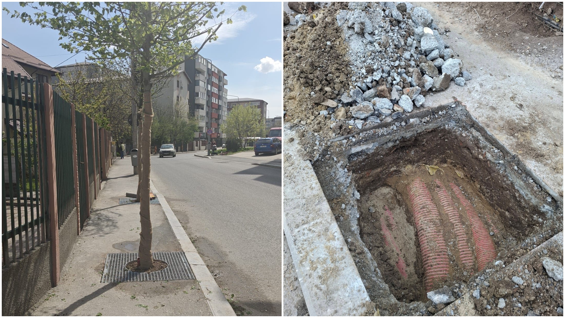 FOTO | Cetățenii, revoltați de copacii plantați pe trotuare înguste, peste cabluri, pe două străzi din Sectorul 4. Primăria a alocat 1,6 milioane de euro pentru arbori