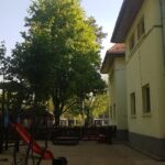 Costuri mai mari pentru întreținerea asistaților sociali din alte județe DGASPC Sector 1