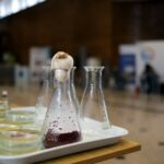 Mâncarea viitorului, în campusul Politehnicii.„Biofest 2026” răspunde provocărilor alimentare și de mediu. FOTO:biofest.upb.ro