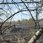 Procesul IOR: Apărarea lui Petre Băjenaru a solicitat taxă de timbru de 900.000 de euro de la grupul civic care luptă pentru anularea retrocedării. Foto: Arhivă