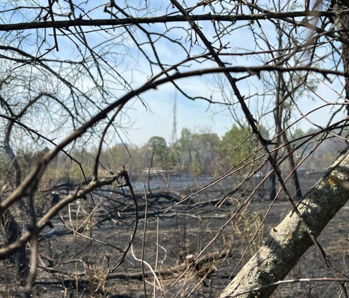 Procesul IOR: Apărarea lui Petre Băjenaru a solicitat taxă de timbru de 900.000 de euro de la grupul civic care luptă pentru anularea retrocedării. Foto: Arhivă