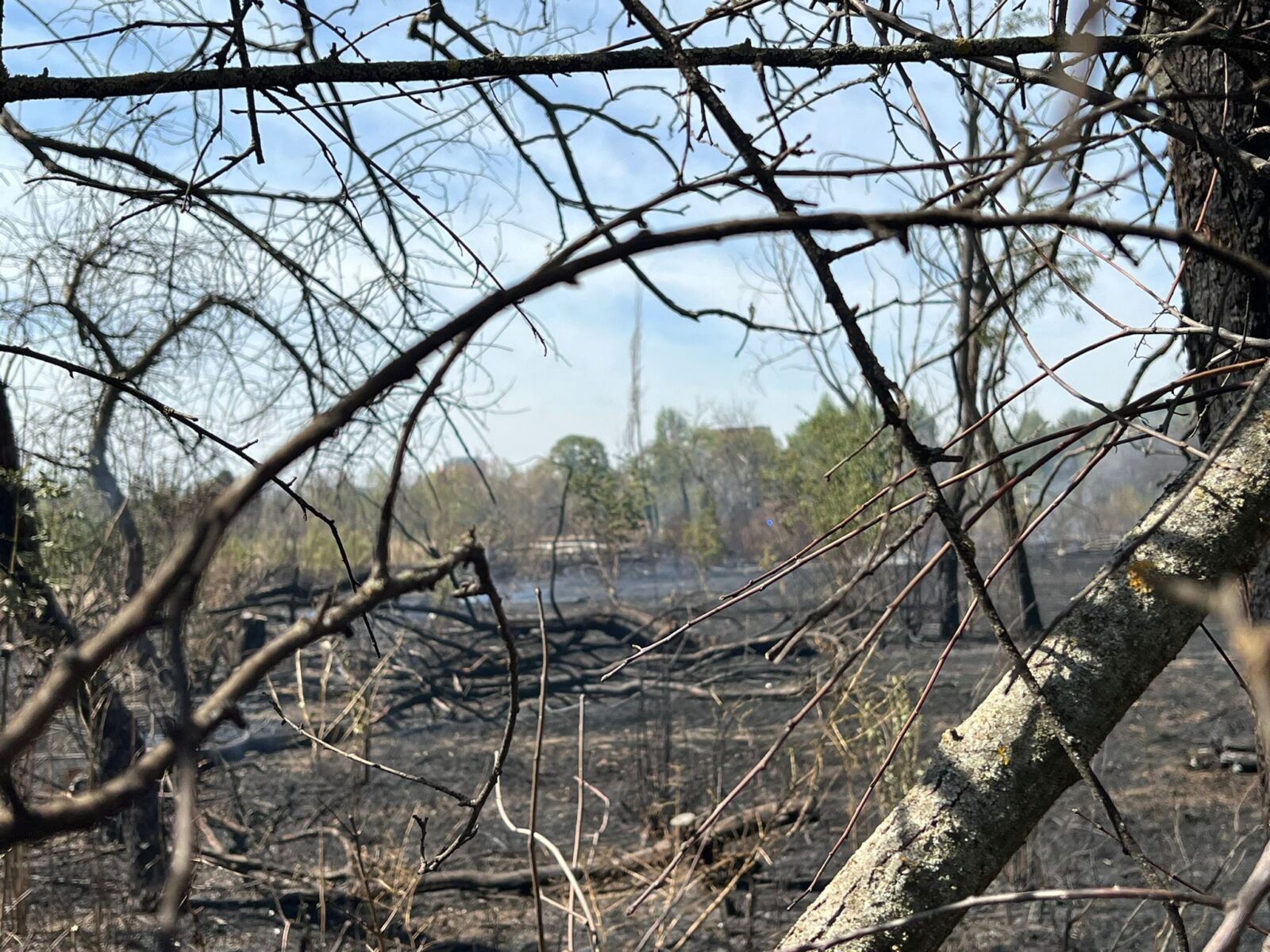 Procesul IOR: Apărarea lui Petre Băjenaru a solicitat taxă de timbru de 900.000 de euro de la grupul civic care luptă pentru anularea retrocedării. Foto: Arhivă