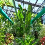 Serele exotice Drumul Taberei program de Paște