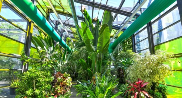 Serele exotice Drumul Taberei program de Paște