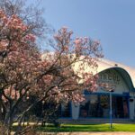 Două târguri de adopții la Circul Metropolitan, în aprilie. Sunt pregătite și activități pentru cei mici