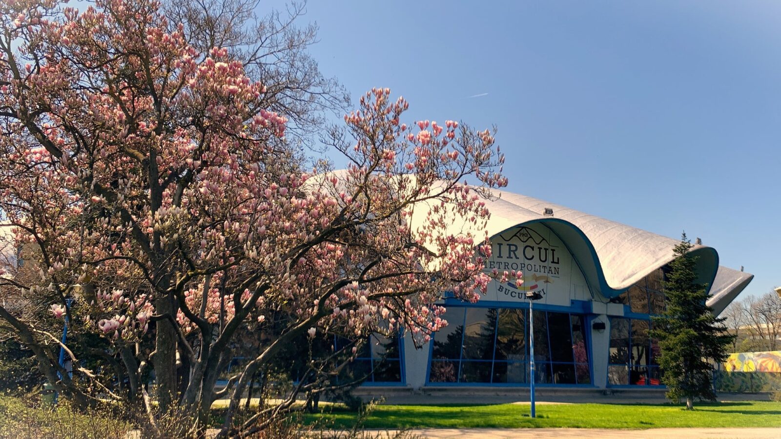 Două târguri de adopții la Circul Metropolitan, în aprilie. Sunt pregătite și activități pentru cei mici