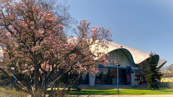 Două târguri de adopții la Circul Metropolitan, în aprilie. Sunt pregătite și activități pentru cei mici