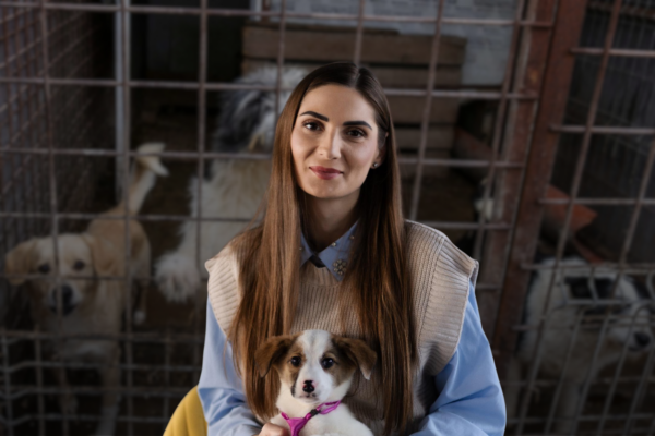 Directoarea ASPA: „Lanțul se rupe la control”