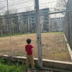 Campanie și scrisoare deschisă adresată premierului, pentru salvarea Bazei Sportive Cireșarii