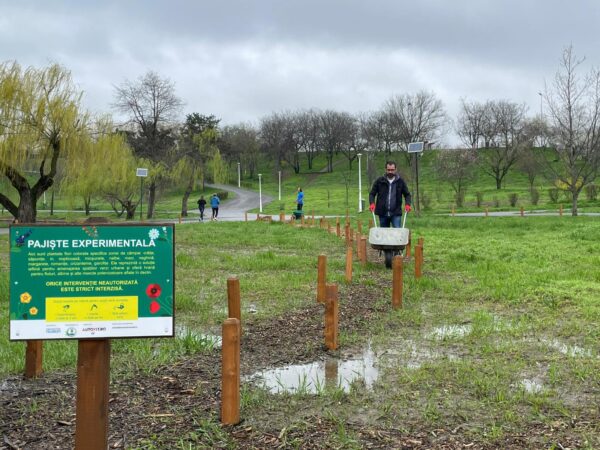 REPORTAJ | „Plămânul” din sud al Capitalei. Unde se află una din pajiștile urbane ale cartierului Berceni | FOTO: Alexandru Stan / BdB