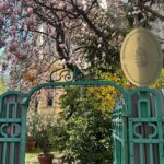 Cum s-a văzut înfrângerea lui Viktor Orbán de la Ambasada Ungariei din București