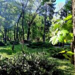 Consultare publică privind reamenajarea Parcului Kiseleff, prin concurs internațional de soluții. Foto: PS1