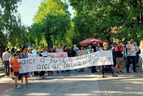 De ce ai nevoie ca să pornești un grup civic: lecții de civism din cinci cartiere ale Capitalei