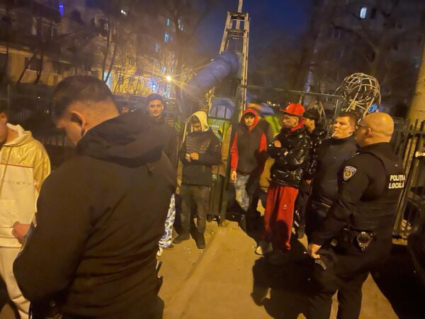 amenzi coji de semințe Sectorul 6