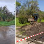 Se realizează prima grădină de ploaie din București, în Parcul Tineretului