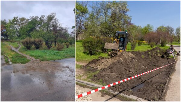 Se realizează prima grădină de ploaie din București, în Parcul Tineretului