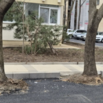 Locuri de parcare în grădinile blocurilor