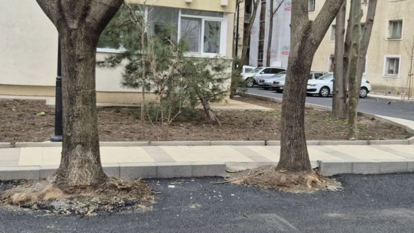 Locuri de parcare în grădinile blocurilor