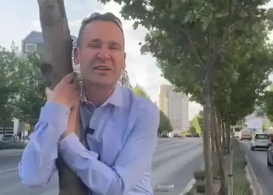 controlate de Consiliul Local