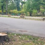 Chestionar pentru Herăstrău. Bucureștenii sunt întrebați cum vor să arate parcul, după restaurare. Foto: Arhivă