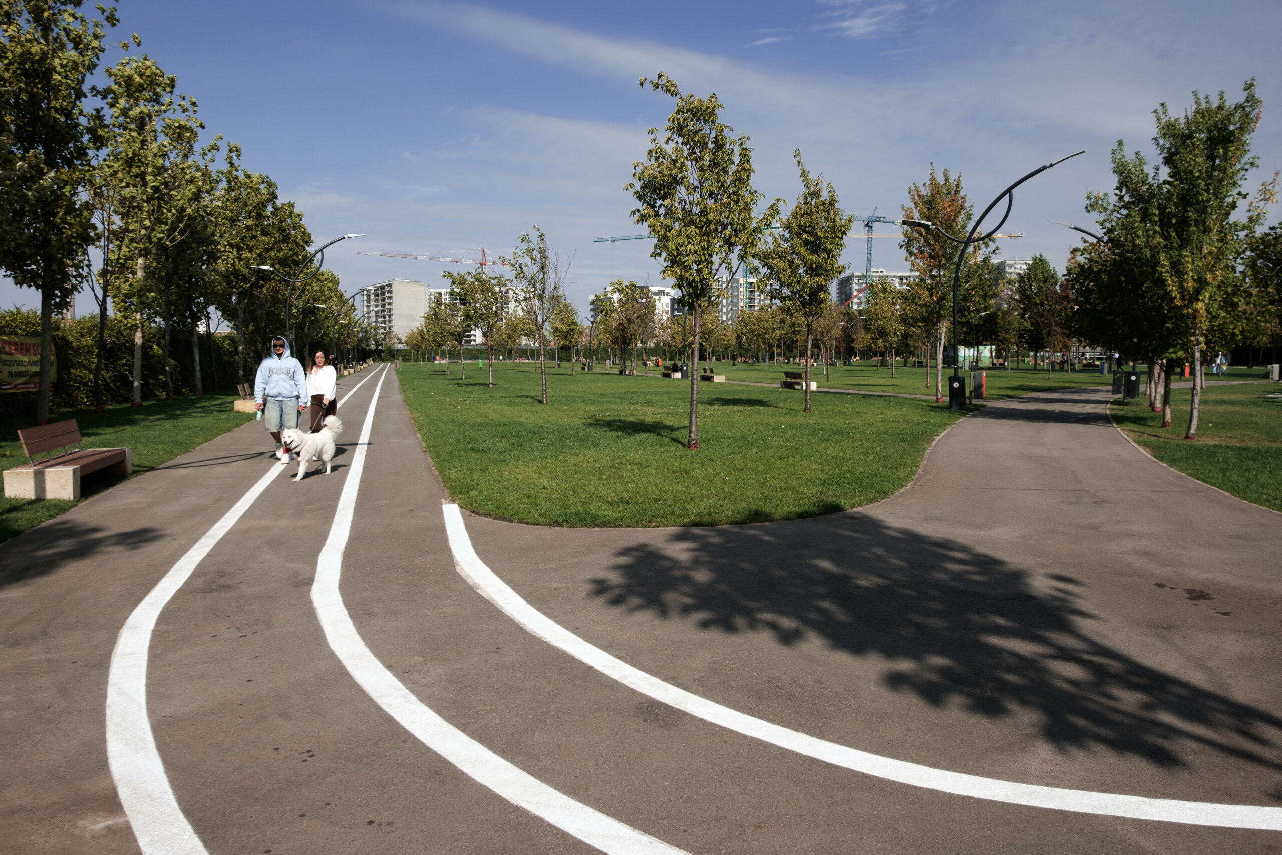 Parcul Maia Sandu în locul Parcului Donald Trump, au votat bucureștenii în sondajul lui Băluță. Ce alte variante de nume mai sunt
