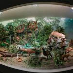 Expoziția permanentă de la Muzeul Antipa poate fi vizitată gratuit în cadrul „Nopții Muzeelor” | FOTO: Muzeul Antipa