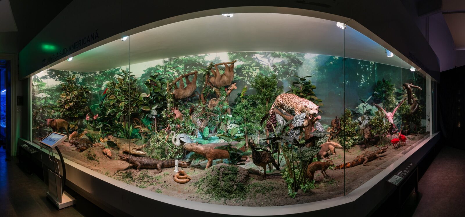 Expoziția permanentă de la Muzeul Antipa poate fi vizitată gratuit în cadrul „Nopții Muzeelor” | FOTO: Muzeul Antipa