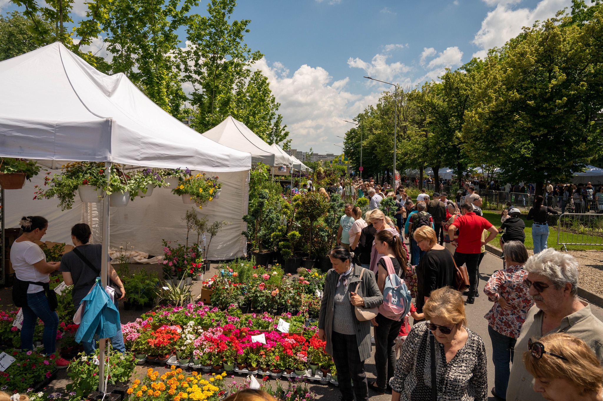 Concerte, ateliere interactive și spectacole, la West Side Flower Fest 2026. Programul evenimentului