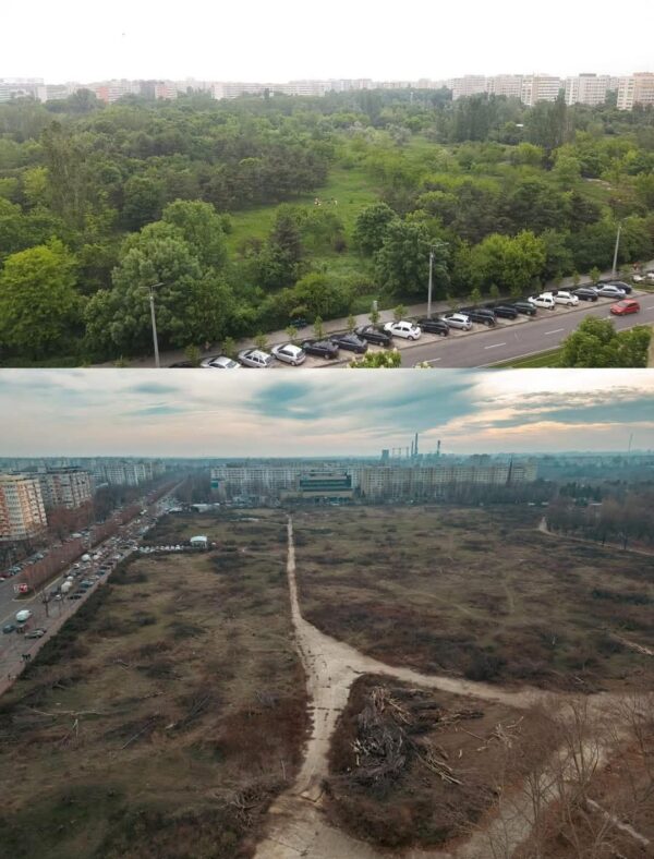 Dosarul IOR, o nouă piedică procedurală. Cum afectează o eroare a Tribunalului București procesul pentru anularea retrocedării celor 12 hectare de parc. Foto: FB/ GIC IOR-Titan