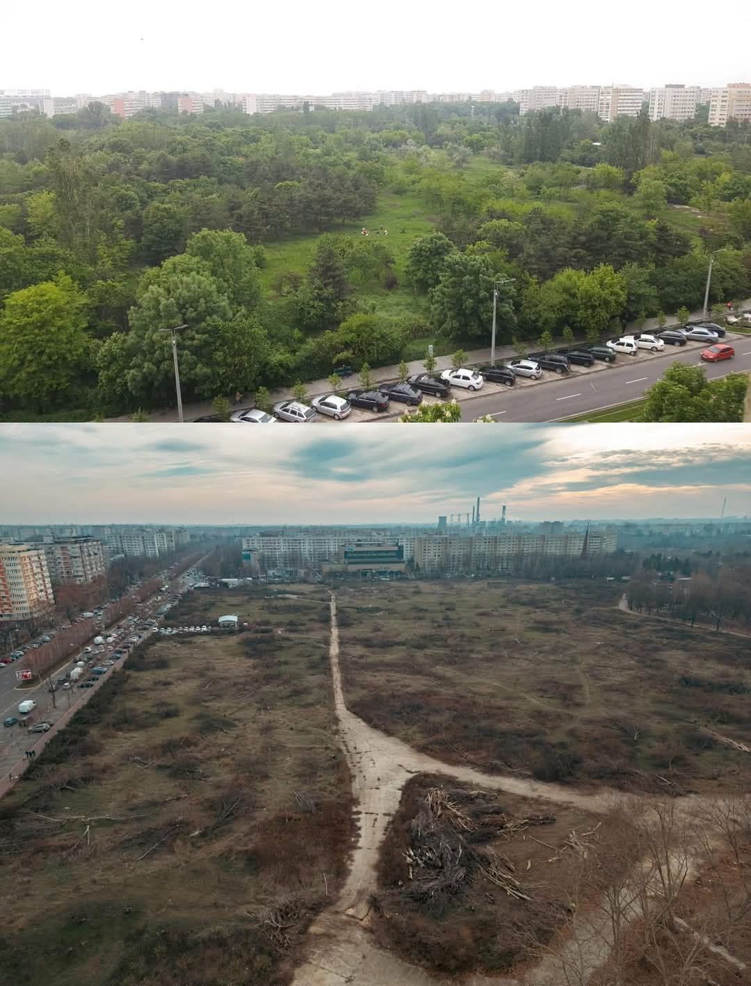 Dosarul IOR, o nouă piedică procedurală. Cum afectează o eroare a Tribunalului București procesul pentru anularea retrocedării celor 12 hectare de parc. Foto: FB/ GIC IOR-Titan