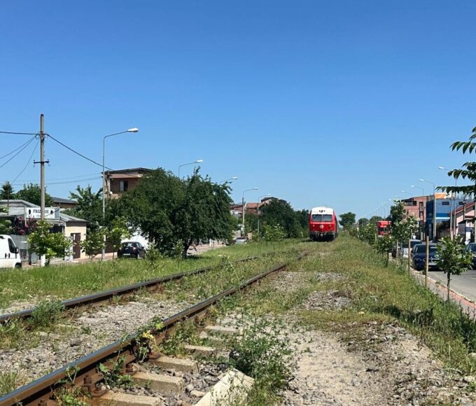 arbori în calea trenurilor