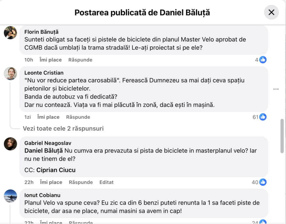 copaci pe mijlocul Căii Văcărești