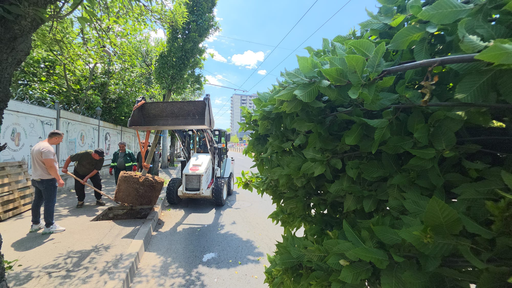 Cetățenii critică ideea Primăriei Sectorului 4 de a planta copaci pe mijlocul Căii Văcărești: unde sunt pistele de bicicletă și benzile unice STB?