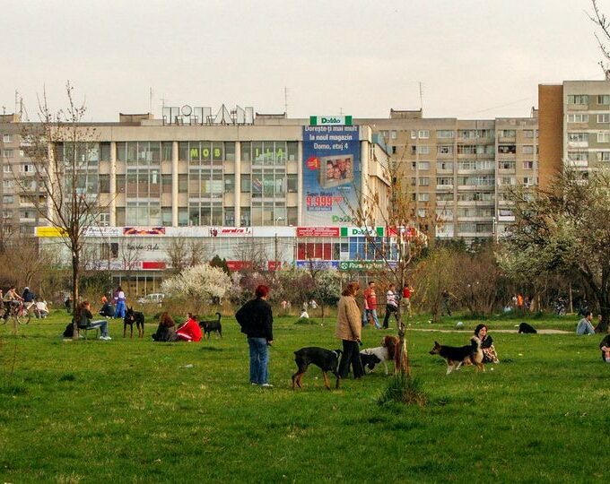 „Capsula” IOR | Sute de mărturii și fotografii, strânse pentru procesul privind anularea retrocedării. Cum arăta zona înainte de distrugere. Foto: Florii, 2005. Andrei Birsan
