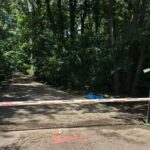 Romsilva va monta propria barieră pe drumul din Pădurea Băneasa dacă Federația Greenfield nu oprește accesul auto