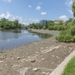 Ce îmbunătățiri își doresc bucureștenii să vadă în Parcul Herăstrău. Cei mai mulți au votat în favoarea toaletelor publice permanente | FOTO: Cătălin Anghel-Dimache