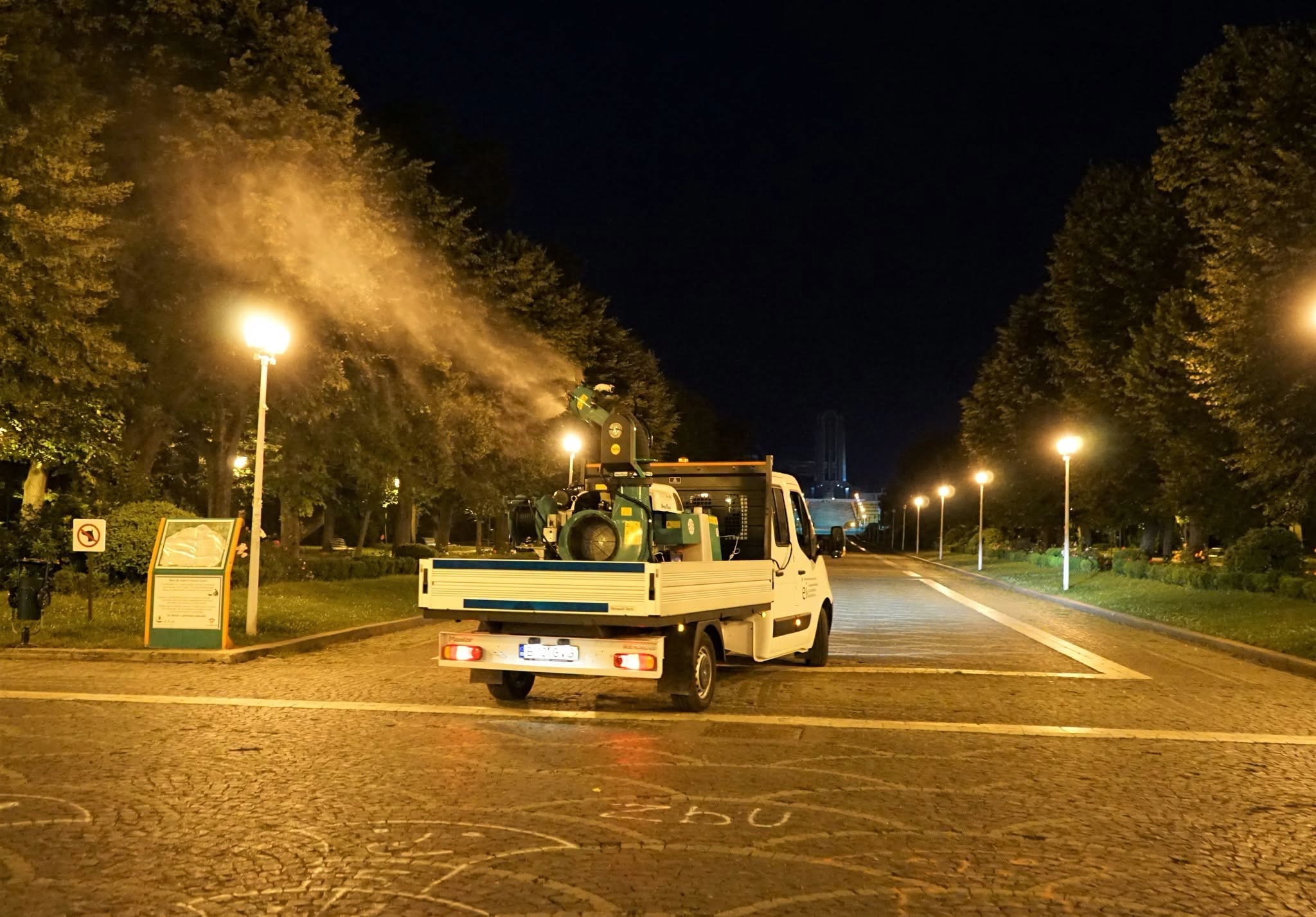 Deratizarea în blocuri a devenit obligatorie în București. Se va face o dată pe an. Cine plătește
