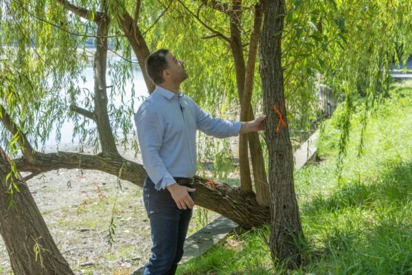 Cipria Ciucu vrea înapoi bucata din Parcul Herăstrău pe care MAE o administrează. Oana Țoiu vrea ceva la schimb | FOTO: PMB