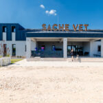 Un spital veterinar social, inaugurat la o oră de București. Va putea găzdui peste 5.000 de animale