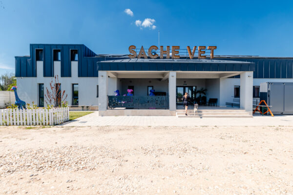 Un spital veterinar social, inaugurat la o oră de București. Va putea găzdui peste 5.000 de animale