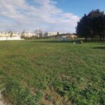 Parcul Izvor numele Parcul Nadia Comăneci