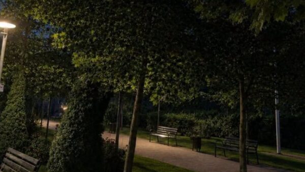 Iluminatul public din parcurile și jocurile de joacă aflate în Sectorul 6 va fi diminuat. Care sunt zonele afectate