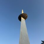 Monumentul Eroilor, cunoscut drept „cartoful pe băț” din Piața Revoluției, va intra în conservare. Valoarea contractului se ridică la aproape 40.000 de euro | FOTO: Deniz Garguli