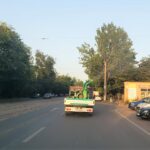 Combaterea țânțarilor continuă în Capitală. Un nou tratament împotriva insectelor adulte va fi aplicat în această seară | FOTO: Eco Igienizare