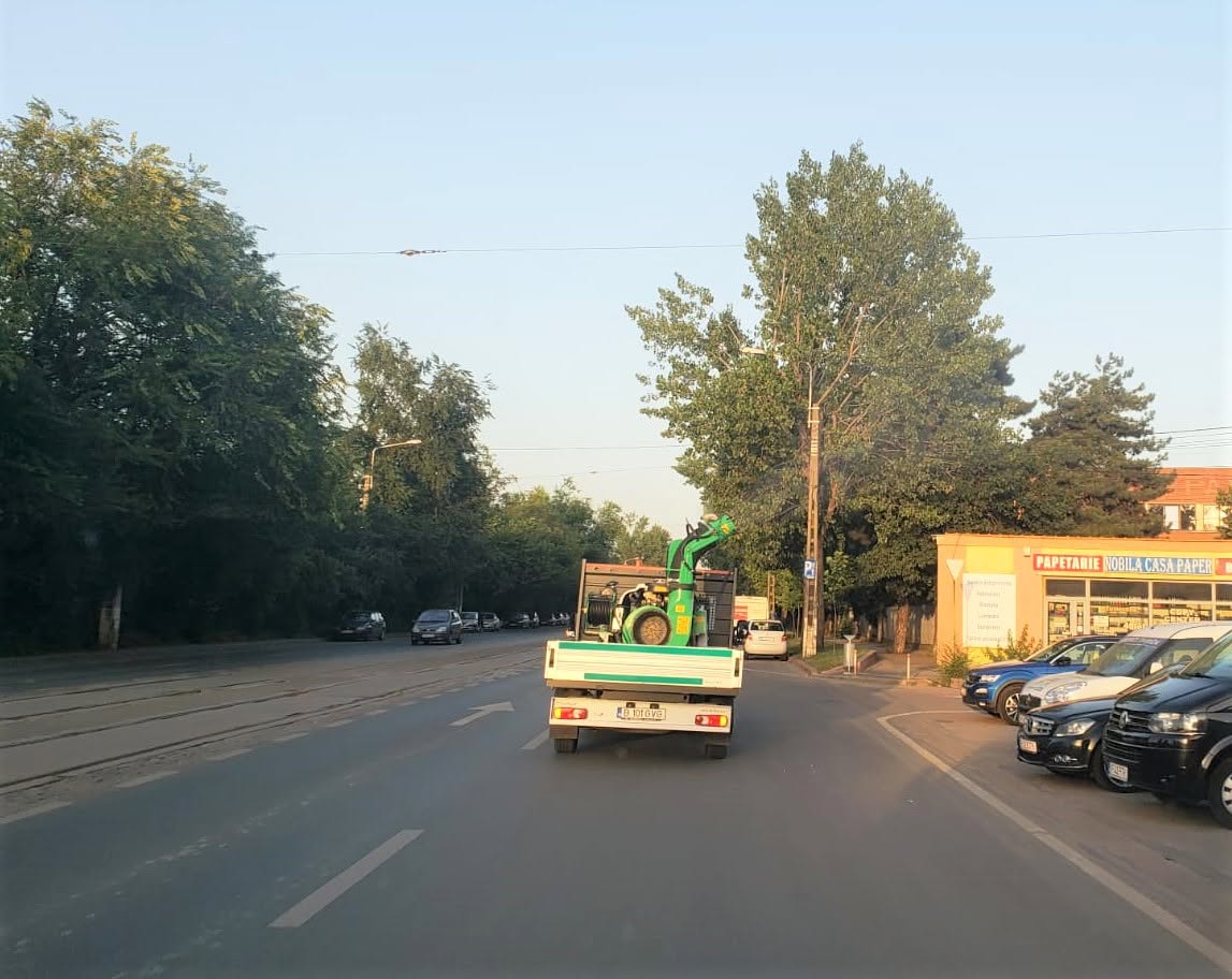 Combaterea țânțarilor continuă în Capitală. Un nou tratament împotriva insectelor adulte va fi aplicat în această seară | FOTO: Eco Igienizare