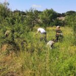 În excursie cu clasa, la Delta Văcărești. Administrația parcului natural organizează vizite speciale în „Săptămâna verde” | FOTO: APNB